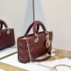 D-ior Lady D-Joy Handbag Wine #A57295