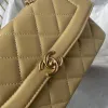 Chanel Classic Quilted Flap Bags in Assorted Colors With Chain Straps Bag size:13×21×6cm #A54037
