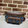 Gucci GG Monogram Canvas Belt Bag Collection in Diverse Styles size:24×13×5cm #A53679