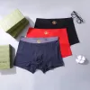 Gucci Underwears for Men 3 pairs per box #A65846
