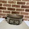 Gucci GG Monogram Canvas Belt Bag Collection in Diverse Styles size:24×13×5cm #A53679
