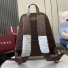 Gucci GG Supreme Canvas Backpack With Web Stripe And Double G Detail size:36×41×18cm #A53743 Gucci GG Supreme Canvas Backpack With Web Stripe And Double G Detail size:36×41×18cm #A53743