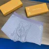 Louis Vuitton Underwears for Men 3 pairs per box #A65840