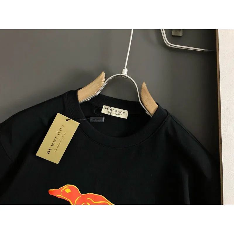 Burberry T-Shirts for Burberry  AAAA T-Shirts #A65944