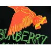 Burberry T-Shirts for Burberry  AAAA T-Shirts #A65944