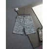 Louis Vuitton Pants for Louis Vuitton Short Pants for men #A64632