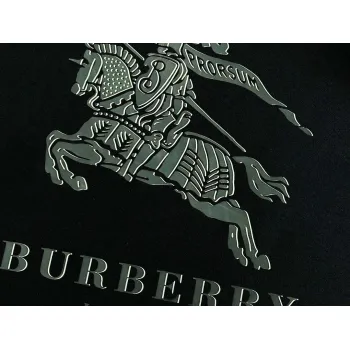 Burberry T-Shirts for Burberry  AAAA T-Shirts #A65946