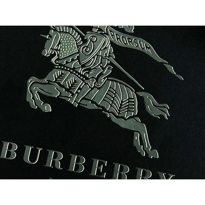 Burberry T-Shirts for Burberry AAAA T-Shirts #A65946 Burberry T-Shirts for Burberry AAAA T-Shirts #A65946