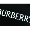 Burberry T-Shirts for Burberry  AAAA T-Shirts #A65945