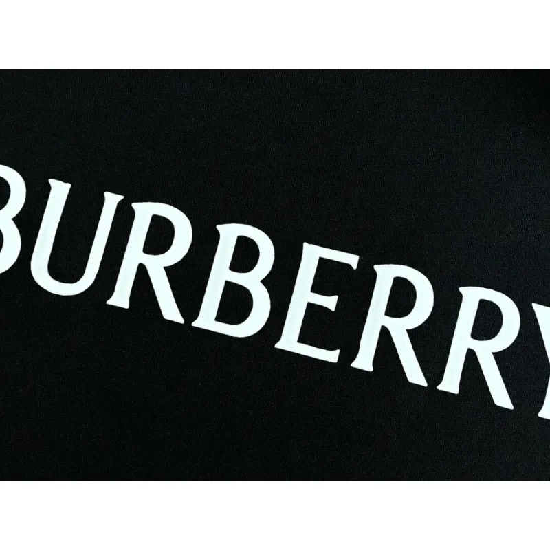 Burberry T-Shirts for Burberry  AAAA T-Shirts #A65945